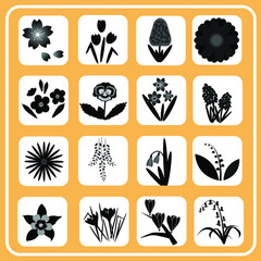 Spring flowers icon set, sakura, magnolia, hyacinth, daffodil, buttercup, daisy, narcissus, grape hyacinth, pansy, snow drop; wisteria, lily of the valley, columbine, crocus, tulip, illustrator vector