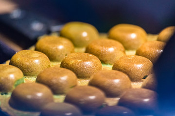 Traditional Hong Kong waffle soft and crunchy from oven, Hong Kong Egg,egg puff
