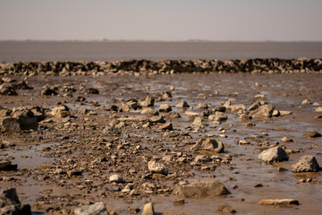 View of the mud flats