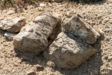 Large gravel from the mountains that are outdoors on the ground.