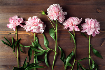 freshly cut peony flowers on a wooden table. simple flat lay composition