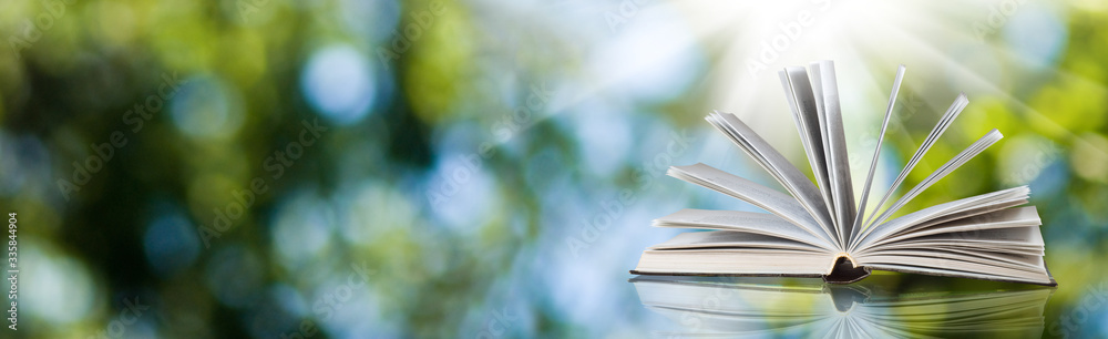 Wall mural abstract image of an open book closeup