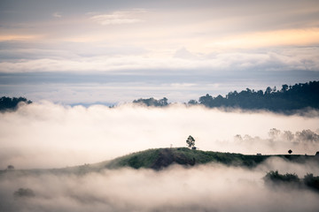 Obraz na płótnie Canvas White Mist with early sunrise over the hill in rainy season of Thailand