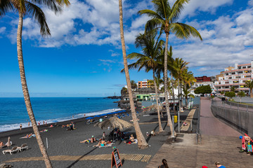 Palms  at beach with black lava sand at Puerto Naos in La Palma Island, Canary Island, Spain. © Curioso.Photography
