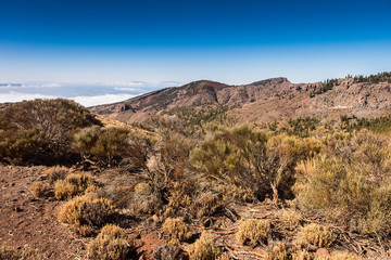 Green rocks of Los Azulejos in Tenerife, Canary Islands, Spain
