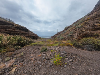 Fototapeta na wymiar Ravine in the Canary Islands, where you walk and blue sky, in the Canary Islands