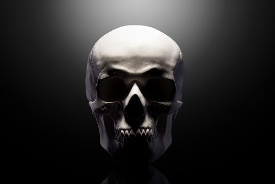 Front view of gypsum model of the human skull isolated on black background