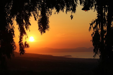 coucher de soleil avec un ciel jaune orange sous un arbre et avec la mer au loin en crête