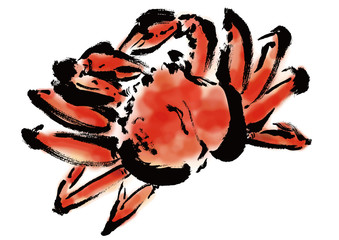 ズワイガニ、蟹、カニ、かに、マツバガニ、松葉蟹、海の幸、越前蟹、朱色、高級、シーフード、みそ、魚介類 © 詩織