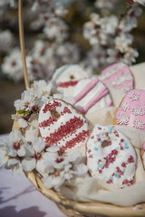 Colorful easter egg cookies in basket. Easter homemade gingerbread cookie in blooming trees. Easter Postcard Template. Cookies in shape of eggs. Outdoor shooting in garden.Close up view. 