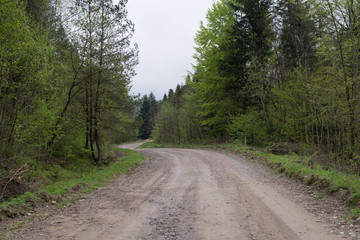 Wide road along the forest