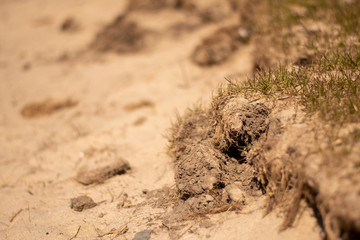 Edge of sand on the beach