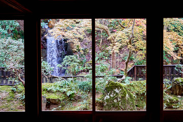 View of Japanese style garden through window