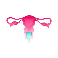 Menstrual cup hygiene product for women vector illustration