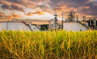 .Industrial zone,The equipment of oil refining,Close-up of industrial pipelines of an oil-refinery...