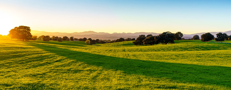 sunset over green field with sunlight, green grass, bush, trees, shadows and mountains in background