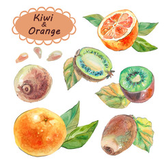 Set of orange fruits, kiwi, leaves and slices. Drawn by hand. Use for greeting cards, invitations, labels, tags, web, prints. 