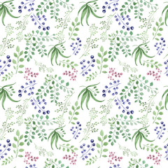 Grass twigs flowers field plants botany flora pattern seamless postcard watercolor hand-drawn plants vegetation flora botany summer spring print textile p