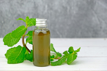 Peppermint essential oil decorated with peppermint leaves on white wooden table with concrete background.