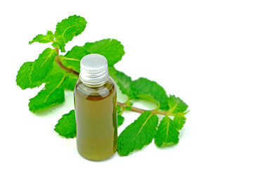 Peppermint essential oil decorated with peppermint leaves isolate on white background.