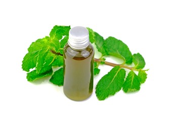 Peppermint essential oil decorated with peppermint leaves isolate on white background.
