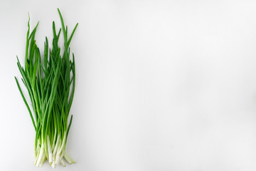 Chives on a white background. Copy space. Green onion.