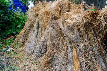 Bundles of flax at a linen mill.