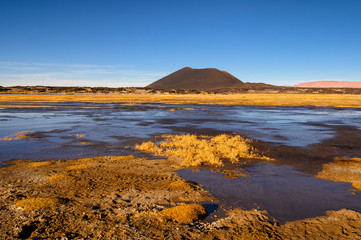 Le volcan Antofagasta