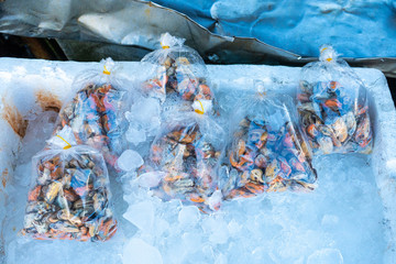 Fresh seafood on the counter at the fish market by the ocean.