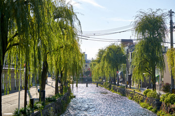 Trees between both sides of water canal with bridge