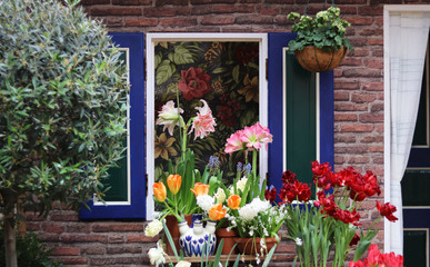 Fototapeta na wymiar Garden in spring, flowerbed with flowers by the window.