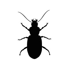 Bug black and white logo