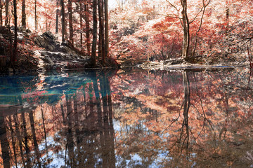 Fototapety na wymiar - Fototapeta24.pl