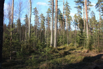 Finnish nature