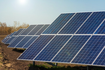 Solar panels on green field.