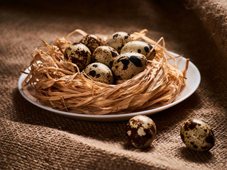 Happy Easter Concept. Quail eggs in nest. Congratulations Easter background. Easter eggs