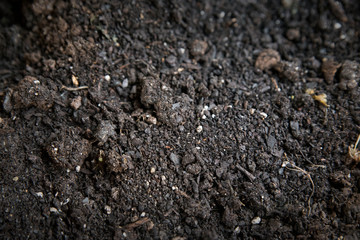Detail of Terra Preta Compound for gardening.