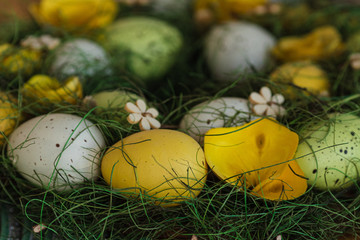 Easter colourfull eggs on the grass, close up picture