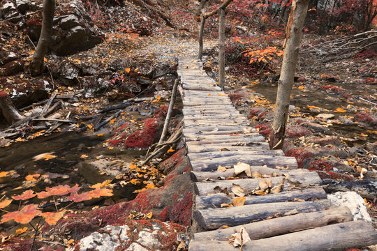 footbridge in Cheile Nerei National Park