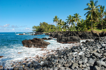 Fototapeta na wymiar tropical beach with palm trees rock beach