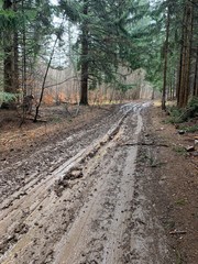 Obraz premium Empty countryside road