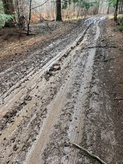 Empty countryside road