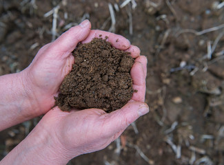 hands are planting seeds