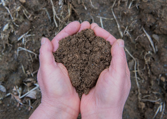soil in hands