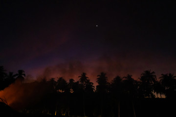Smoke from a bonfire in a rainforest at sunset. Fires in the forest. Smoke on the background of palm trees at sunset