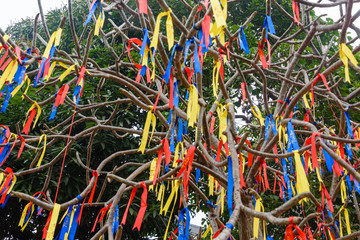 Multicoloured ribbons hang from a tree at Ho Giam (The Lake of Literature) in Hanoi, Vietnam