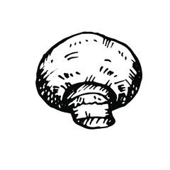 vector graphic hand-drawn champignon isolated on a white background.