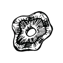 vector graphic hand-drawn mushroom isolated on a white background. forest, natural decorative elements. food icon in sketch style.