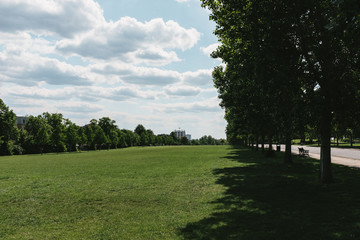 Finsbury Park in the Spring