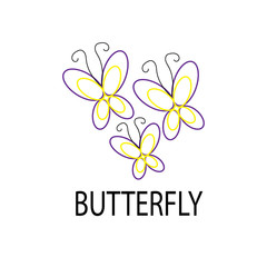 simple butterfly line illustration color design vector
